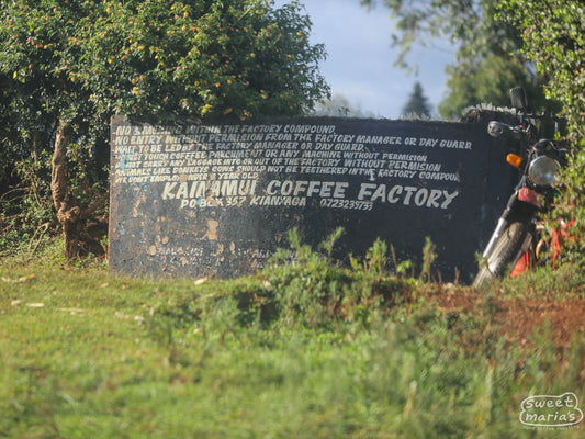 Hand-painted sign outside the Kianamui coffee factory (wet mill) in Kianyaga, Kirinyaga, Kenya.