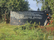 Hand-painted sign outside the Kianamui coffee factory (wet mill) in Kianyaga
