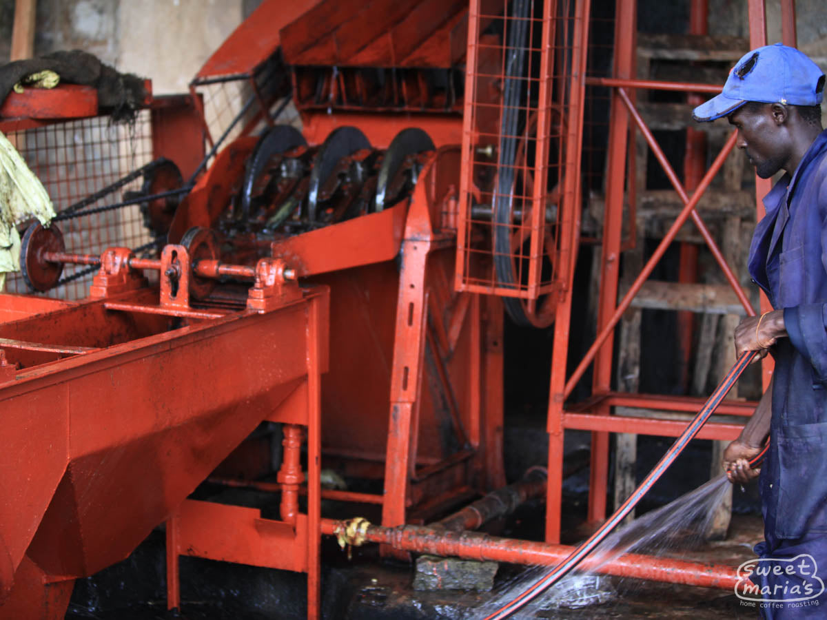 The 3-disc depulper at the Gichathaini wet mill used to remove the outer cherry layer from the inner green coffee seeds using friction. Nyeri, Kenya.