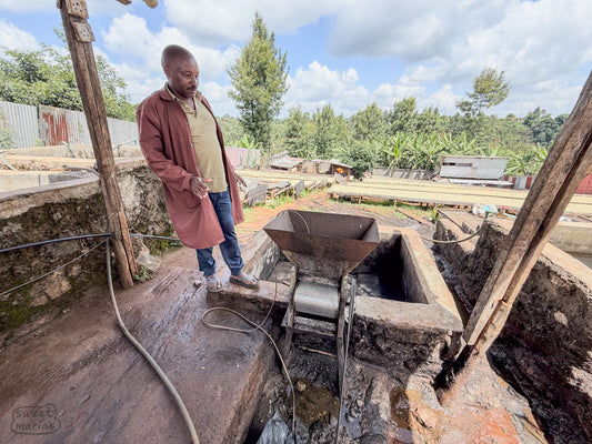 Farm manager, Moses, shows us the pulper and cement fermentation tank at Spike coffee farm in Kiambu, Kenya.