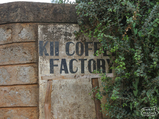 The hand-painted sign on the cement wall outside of the factory that reads, 