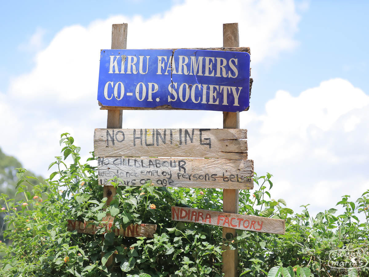 The wooden sign at Ndiara Factory, a coffee washing station under the Kiru Farmers Cooperative Society in Muranga, Kenya.