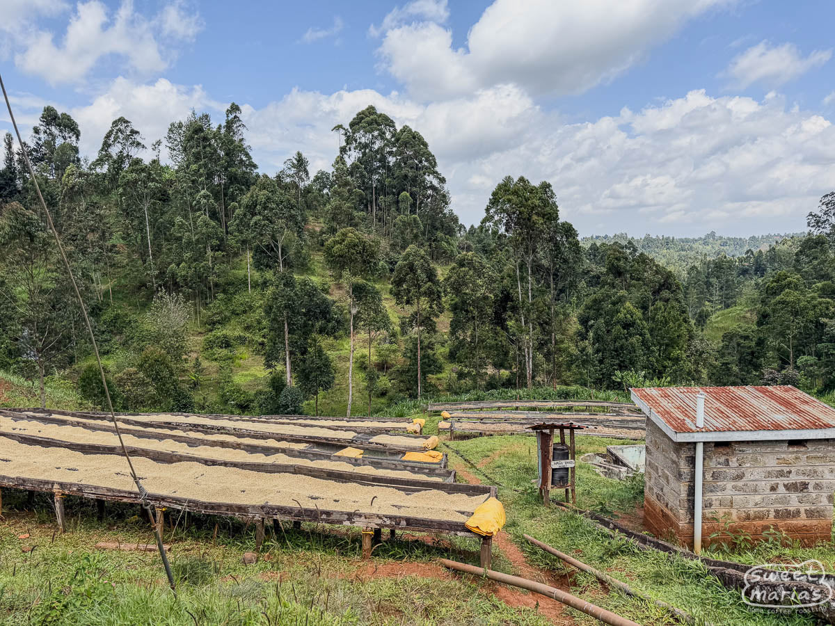  Kenya.