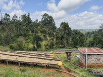  Kenya.