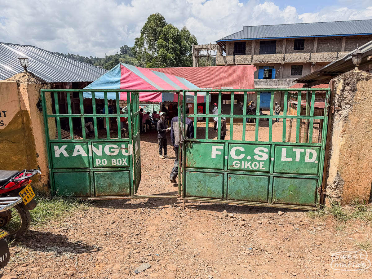 Metal gate painted green, with "KANGUNU" in white letters at the Kangunu Factory in Muranga, Kenya.
