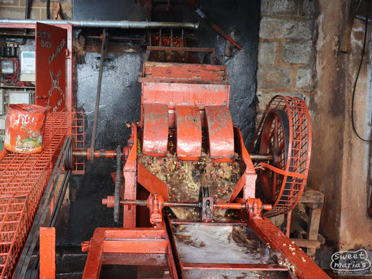 Disc pulper that removes the outer fruit from the green coffee seeds at the Gathaithi Factory, Nyeri, Kenya.
