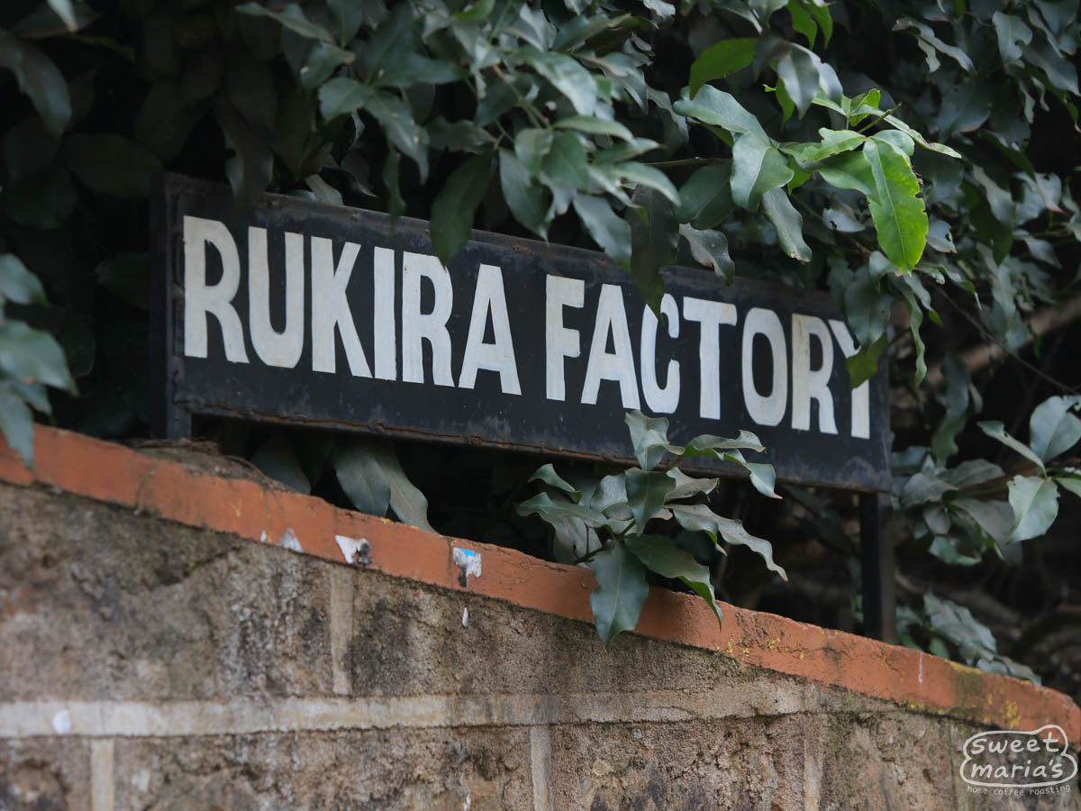Hand-painted sign that reads, "Rukira Factory", at Rukira green coffee washing station in Othaya, Nyeri, Kenya.