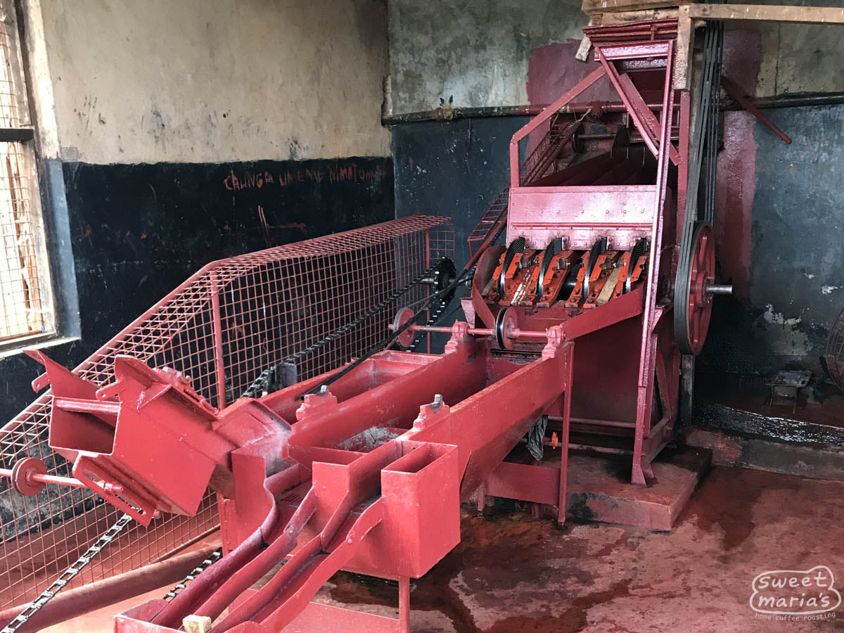  at Rukira green coffee washing station in Othaya