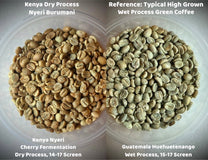 Kenya Dry Process Nyeri Burumani