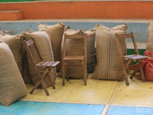 Large woven jute bags filled with dried coffee from the harvest at a farmer's association in Chiapas.