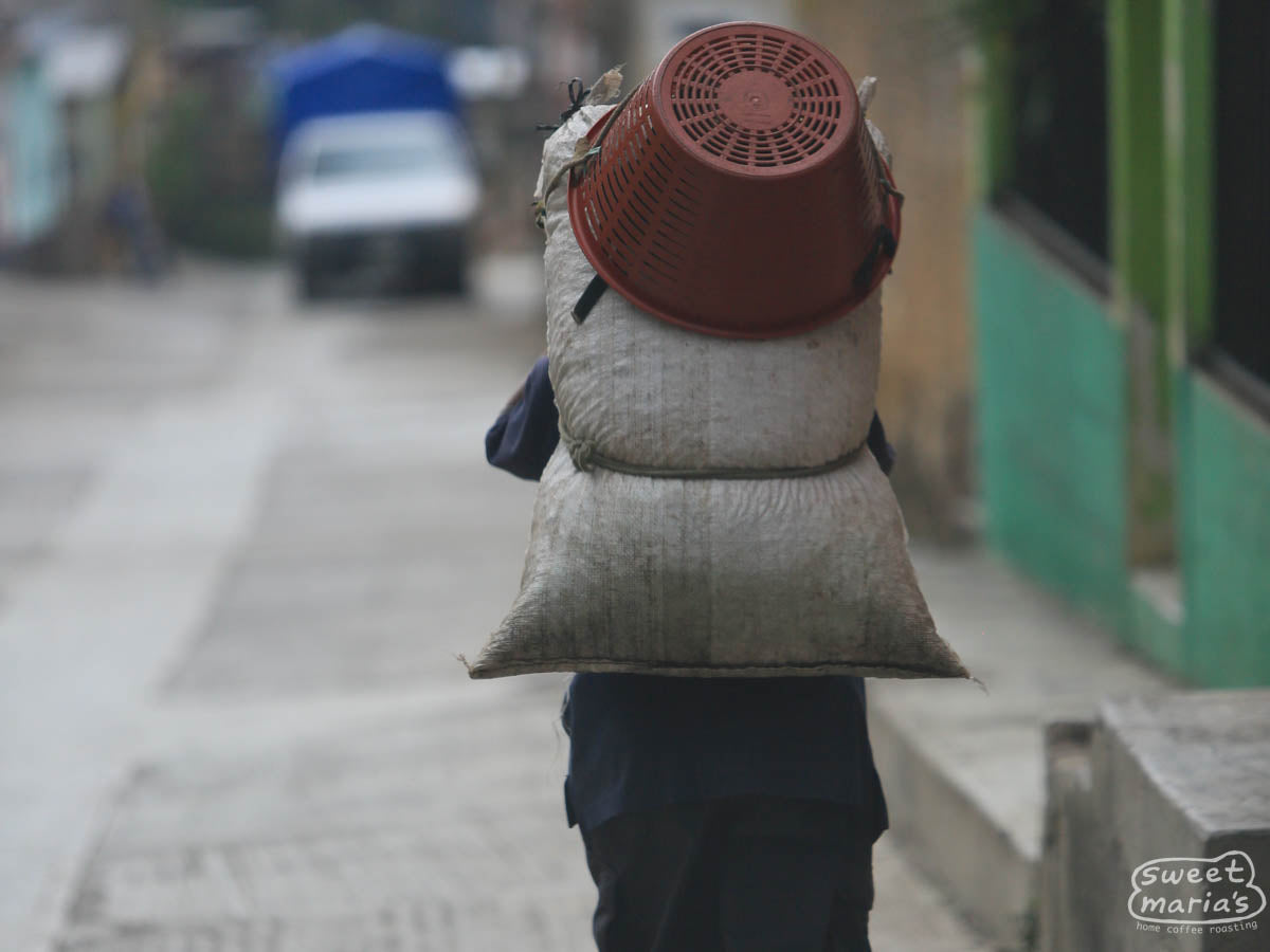 A farmer carries a mylar bag filled with coffee cherry, and their basket used for harvesting.