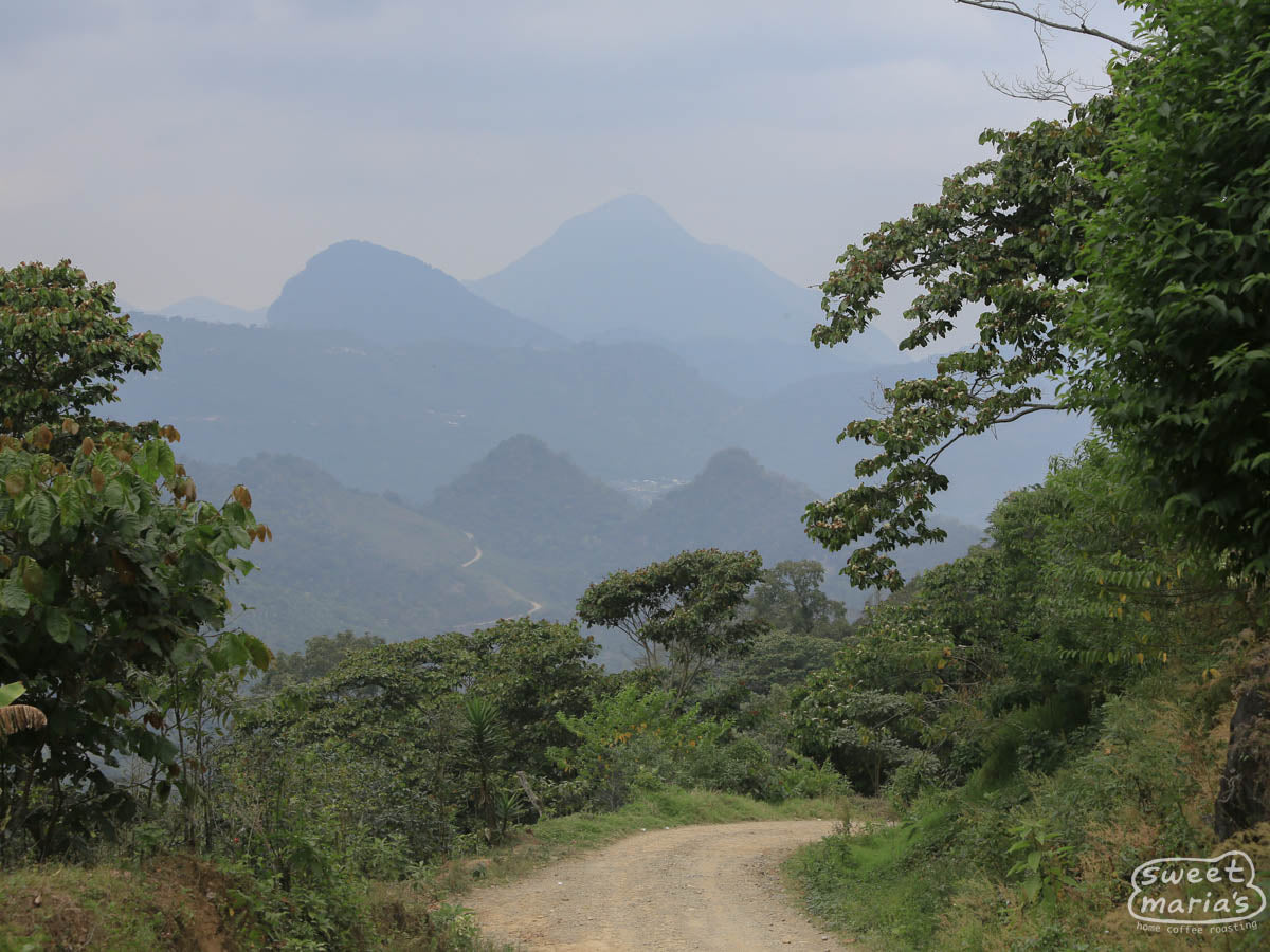 The dramatic peaks of the Sierra Madre de Chiapas in Southern Mexico.