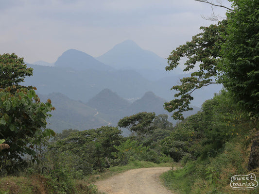 The dramatic peaks of the Sierra Madre de Chiapas in Southern Mexico.