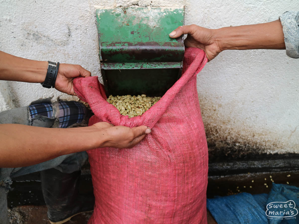 A worker removes the wooden dam used in the tile coffee grading channel at Buenos Aires wet mill.