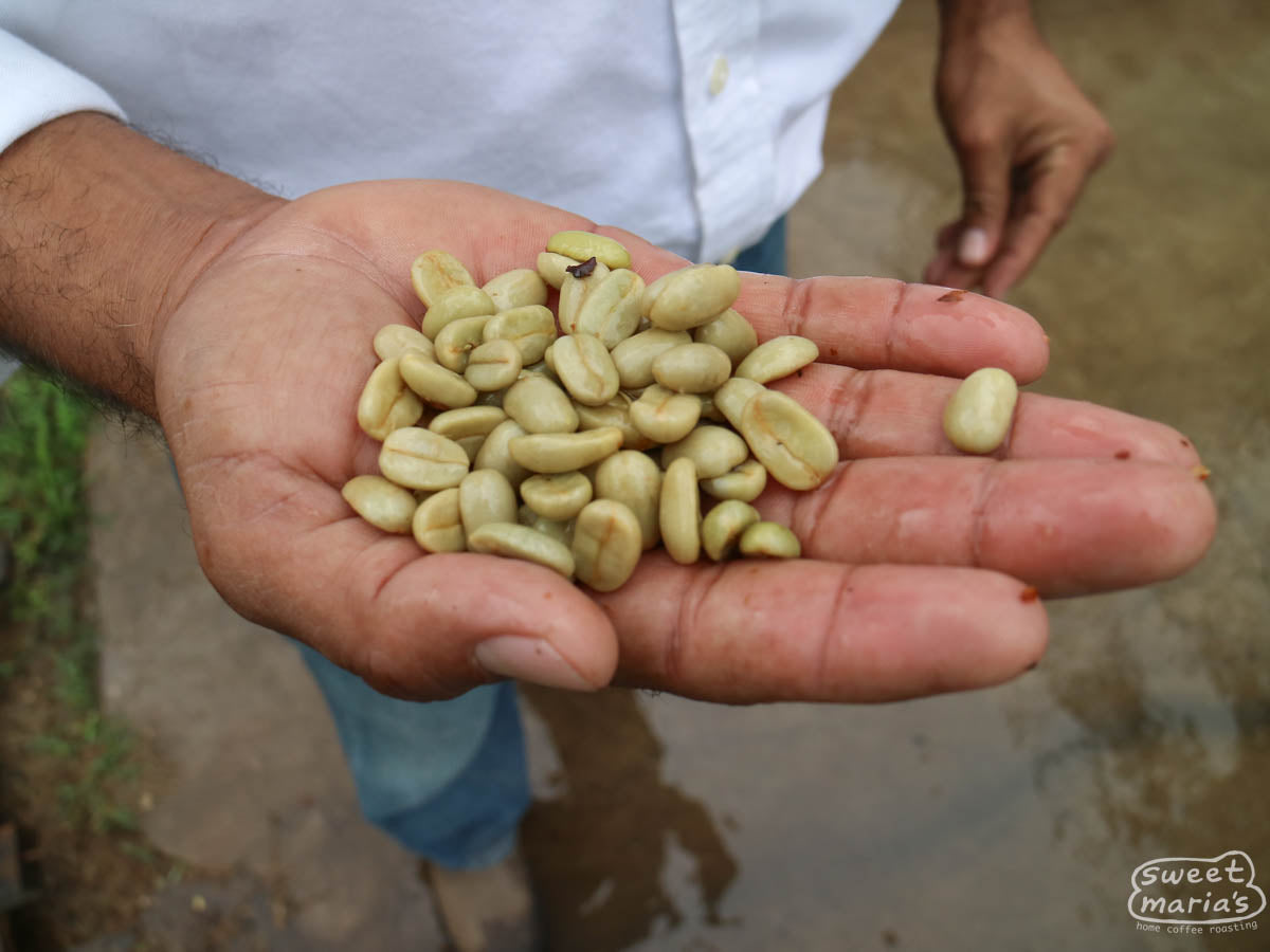  Nicaragua.
