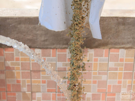 Clean water added to the green coffee that was just processed through the mechanical demucilager at the Buenos Aires wet mill in Dipilto, Nicaragua.