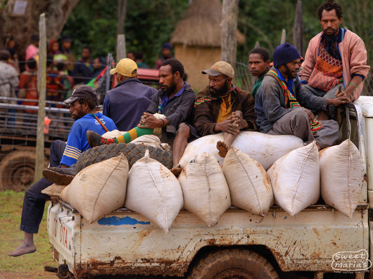 Workers deliver their harvested coffee cherries by truck in Baroida, Eastern Highlands.
