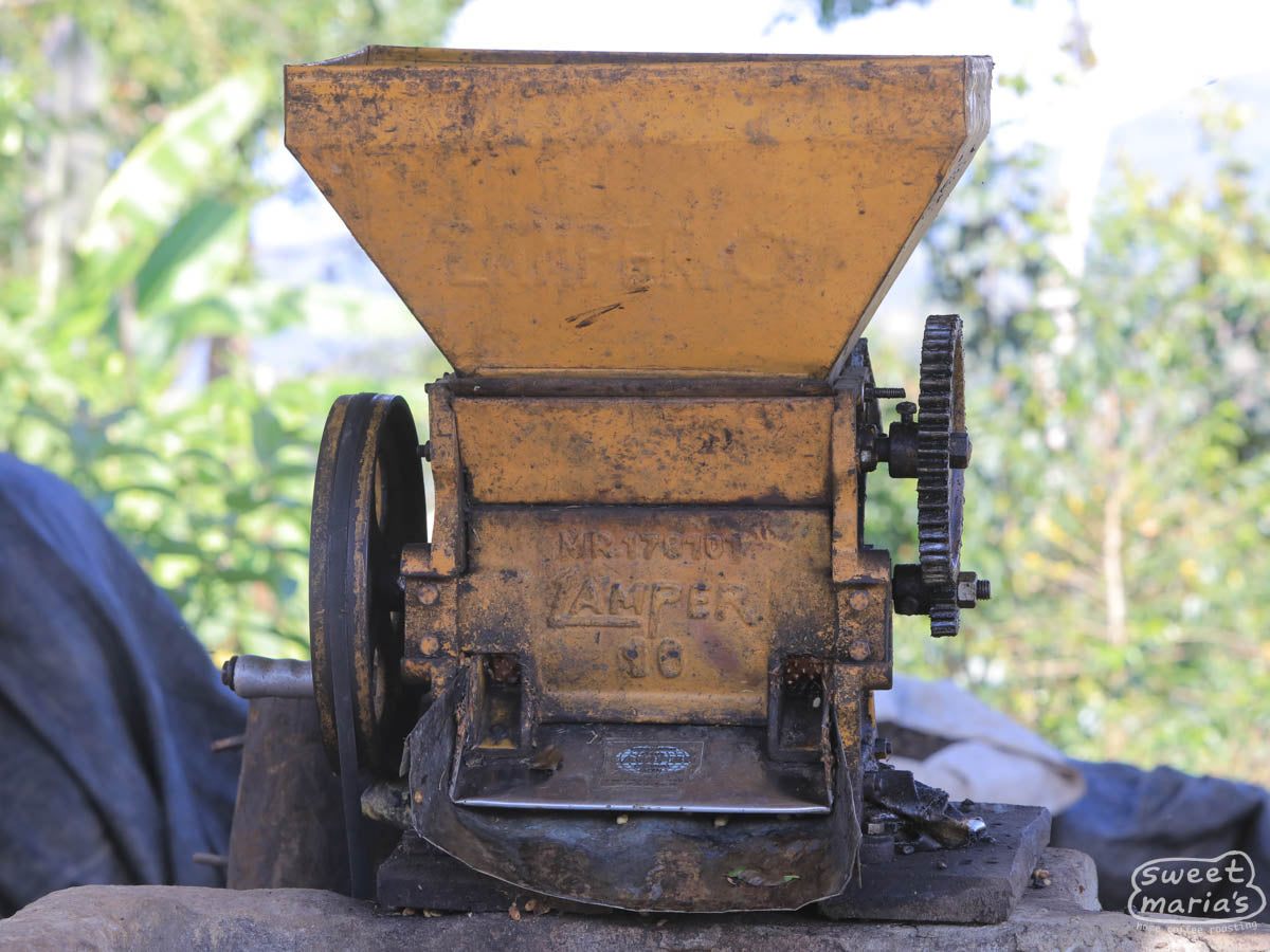 It's common to see small crank style pulpers like this at small farms in Peru, used to remove the coffee cherry fruit from the green coffee seed. This one is at a farm in the Huabal area (not Roger Chilcon).