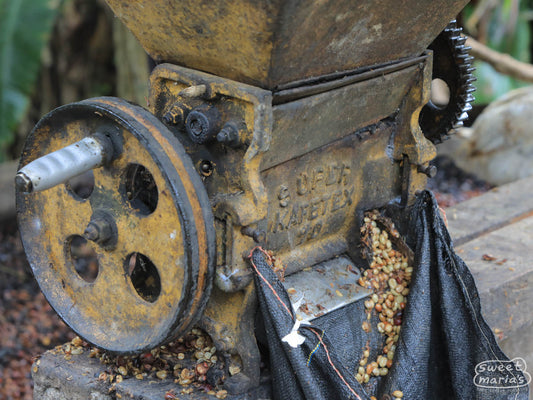 Coffee pulper used to remove the outer fruit from the green seeds within. Peru.