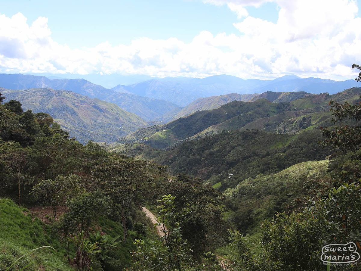 Looking down at a plunging valley while touring farms in Huabal District.