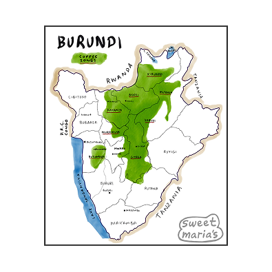 Burundi - Coffee Shrub