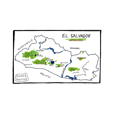 El Salvador - Coffee Shrub