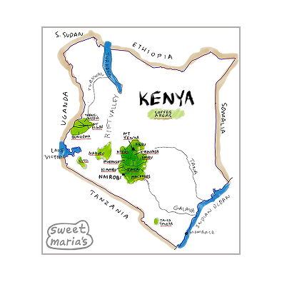 Kenya - Coffee Shrub