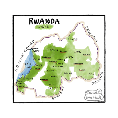 Rwanda - Coffee Shrub