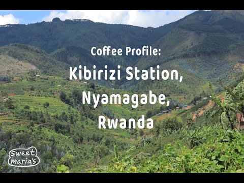 Rwanda Kibirizi Coffee