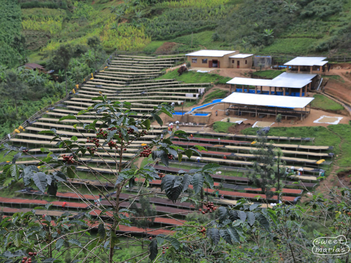 A view of the Gitwe station from the adjacent hillside.