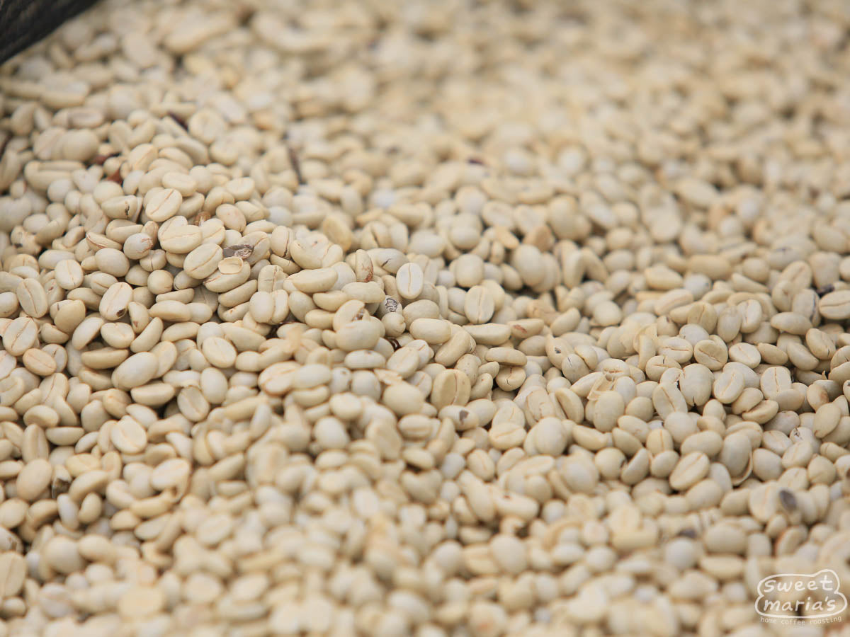Parchment-covered coffee drying on raised beds at one of the coffee cooperatives who contributed to this blend. 