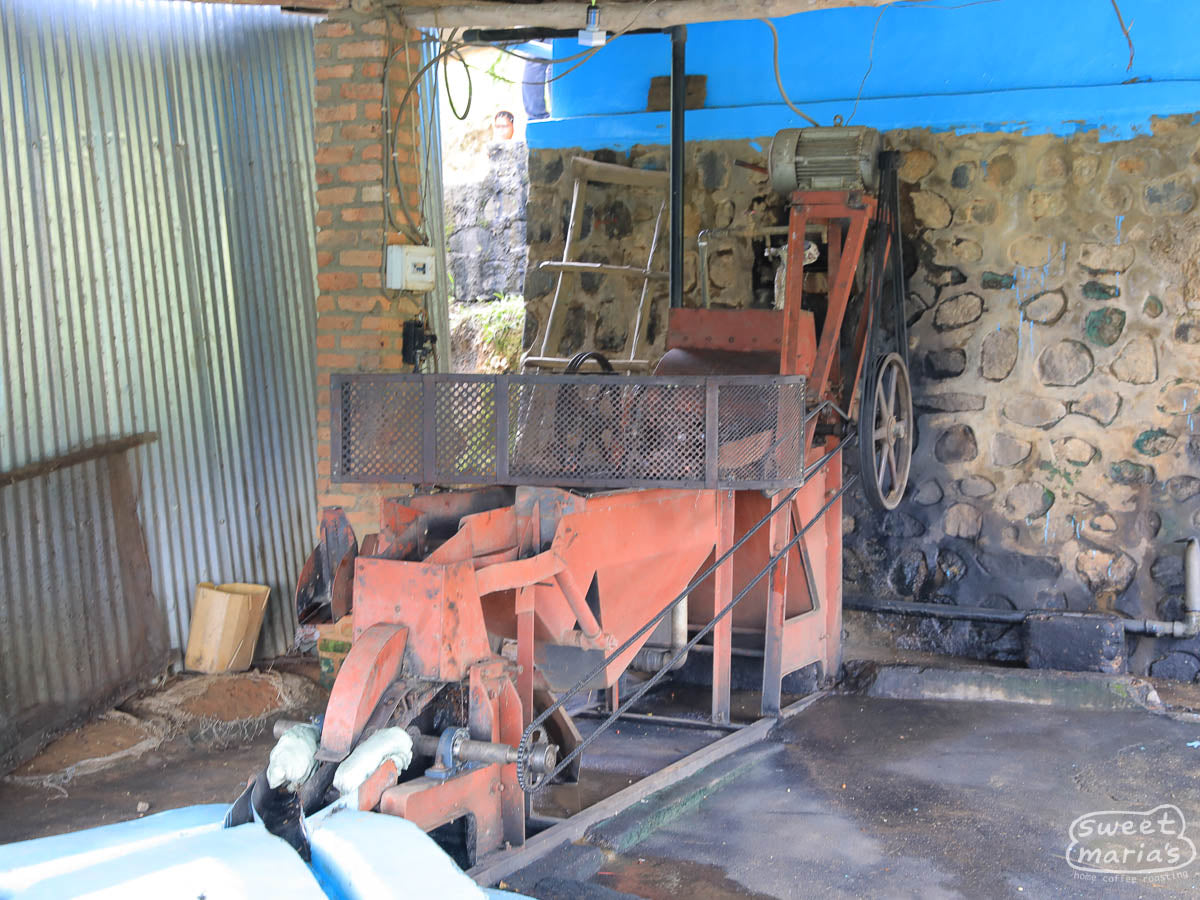 Disk pulper used to remove the outer cherries from the green coffee seeds. Nyamasheke.