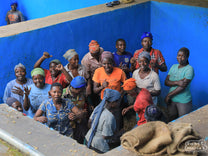 Workers sing and dance on the fermenting coffee as a way of agitating the fruit from the green seeds. Nkora station, Rutsiro region, Rwanda.