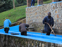 Workers wash the fruit mucilage from the green coffee seeds by agitating it with wooden paddles in washing channel. They also do a grade separation by continually pushing the coffee up stream, causing the heavy coffee to sink, while the light coffee float