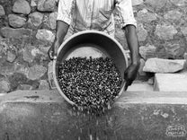  Rwanda.