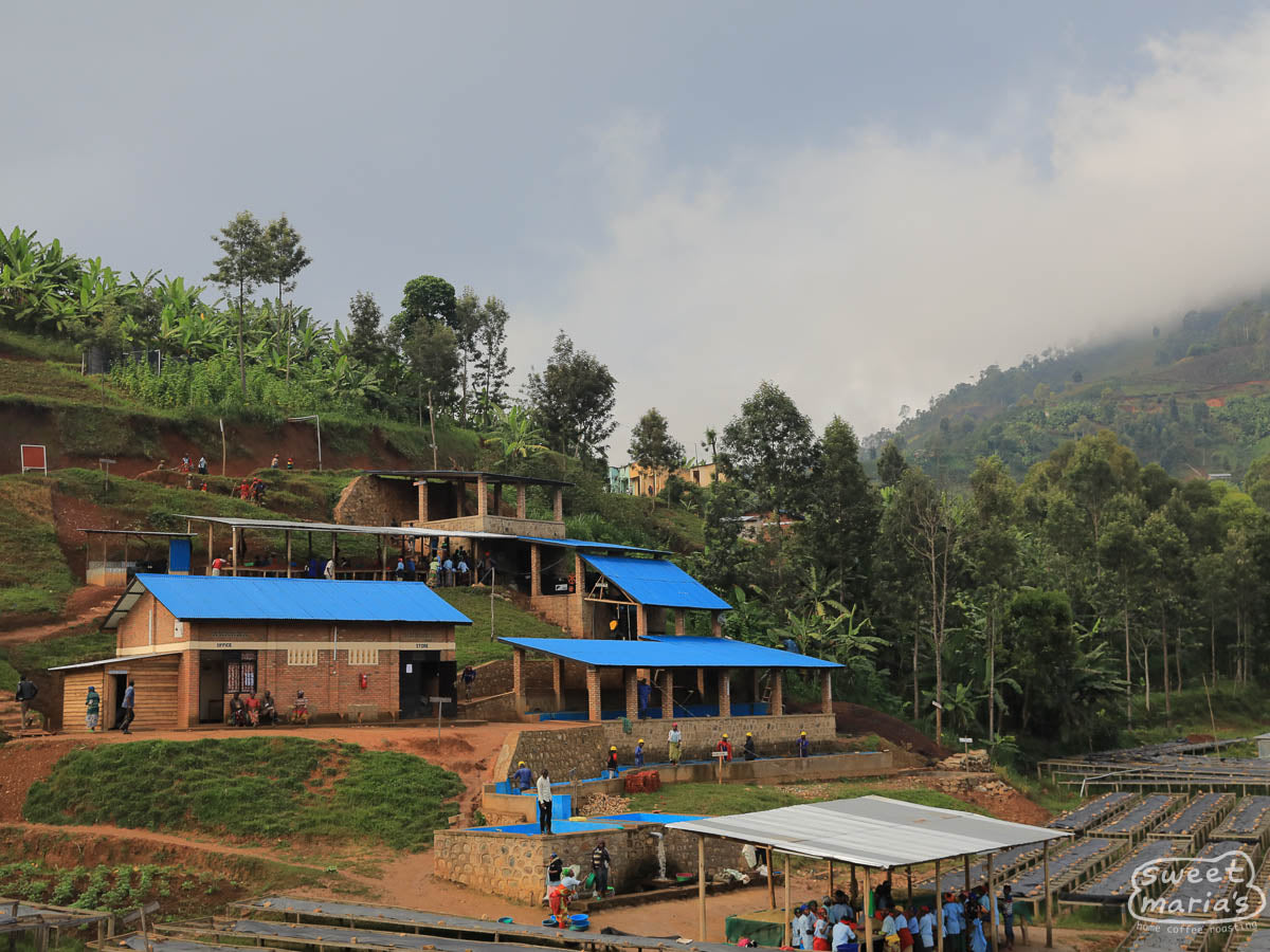The Karambi coffee washing station and drying tables in Nyamasheke, Rwanda.