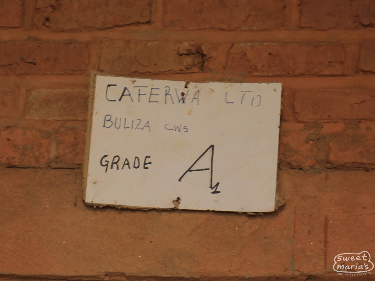 Workers move the wet process coffee from cement washing channels to covered drying tables where it will have an initial drip-dry. Buliza.