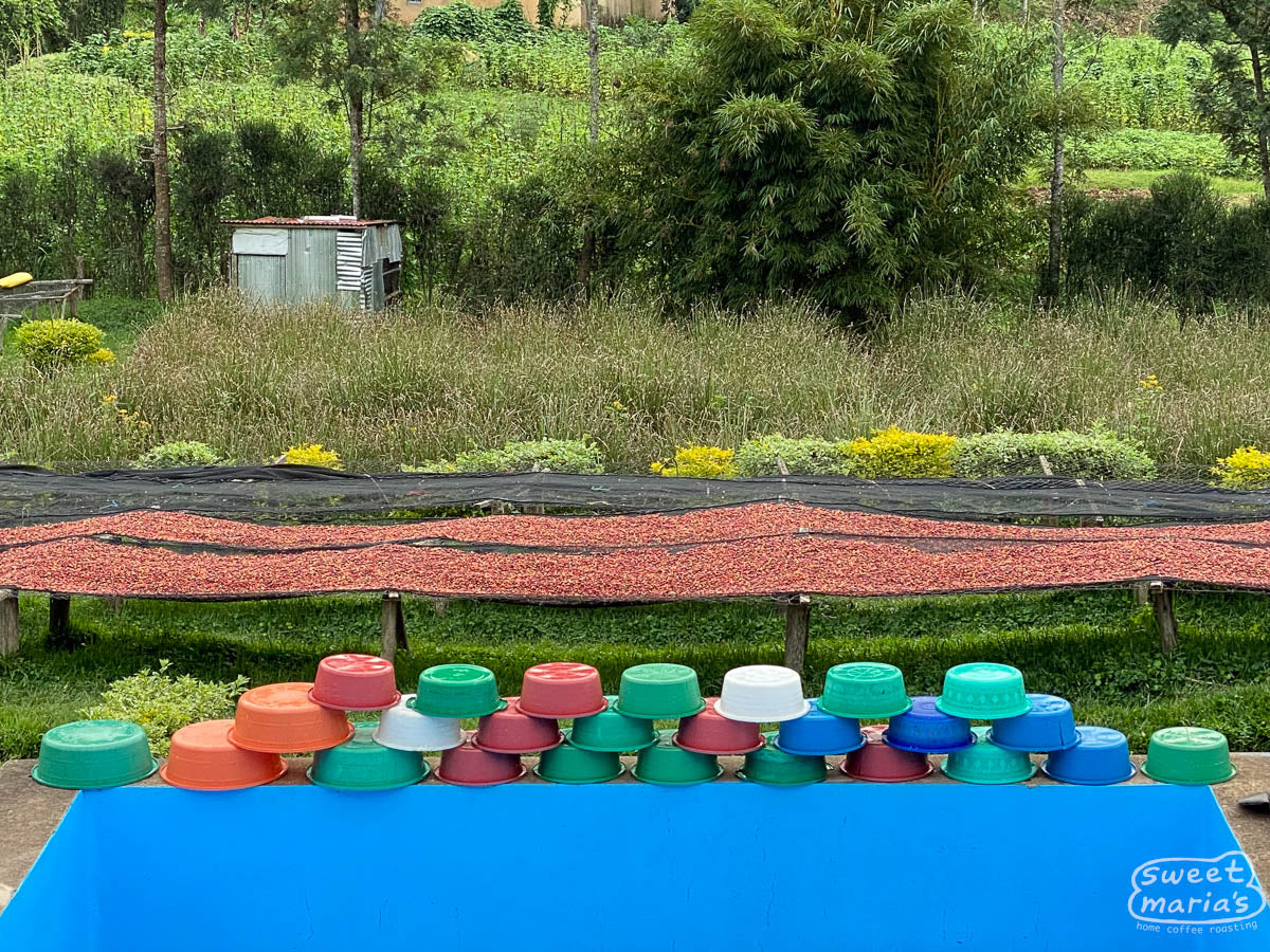  Rwanda.