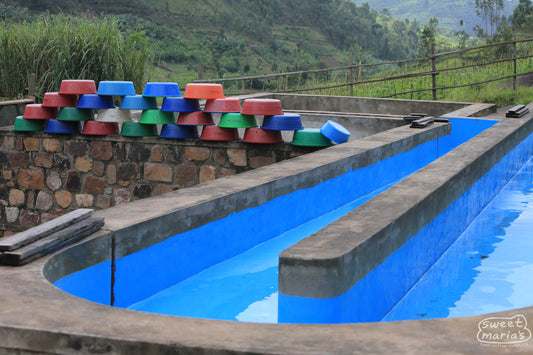 These long blue cement channels that are filled with water are used to wash away the fruit mucilage from the green coffee seed after the fermentation process. Tumba site.