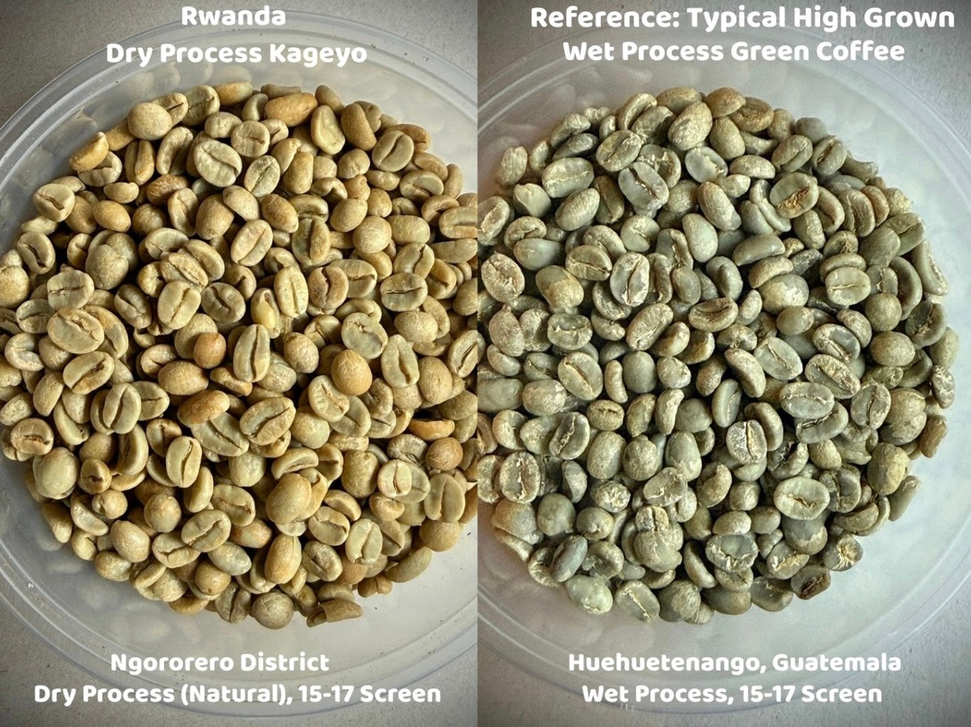 Rwanda Dry Process Kivu Kageyo
