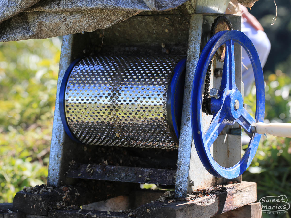 Hand-crank pulper used to remove the cherry from the green coffee seed. Sulawesi, Bone region.