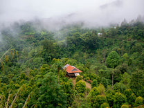  Sulawesi.