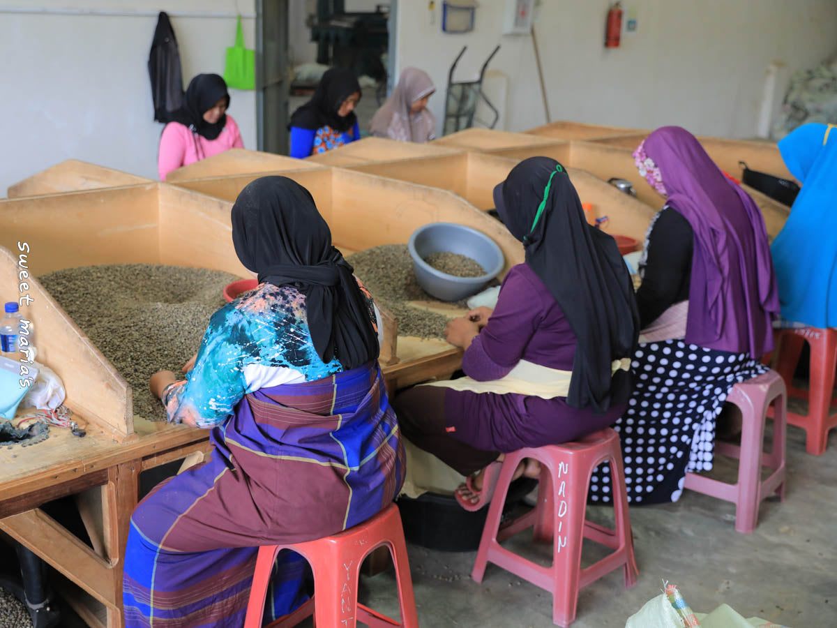 Women sort out the worst physical defects by hand at an Aceh mill.