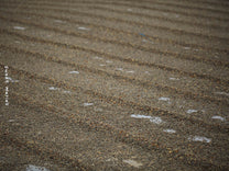 Wet hulled coffee drying on cement patios in West Aceh. 