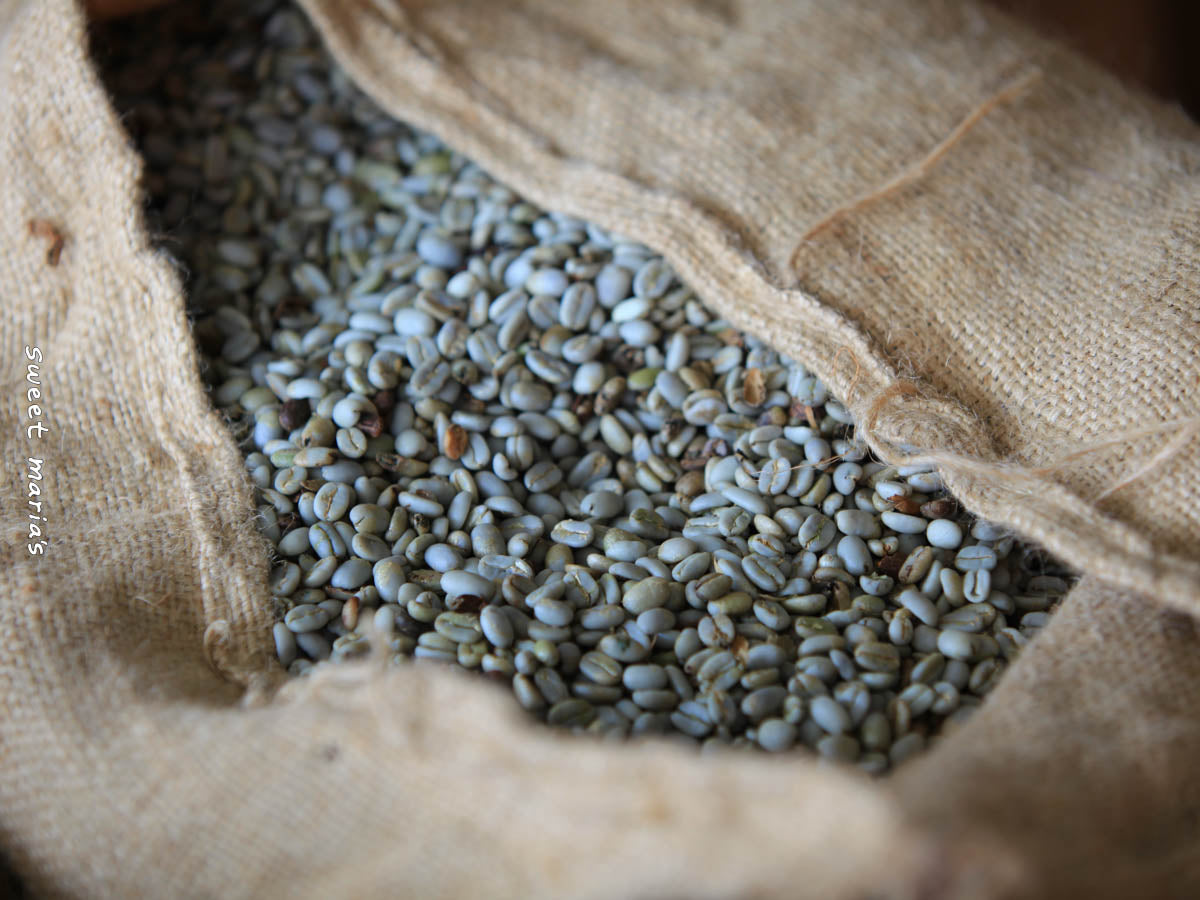 A jute bag filled with wet hulled coffee at a mill in Aceh.