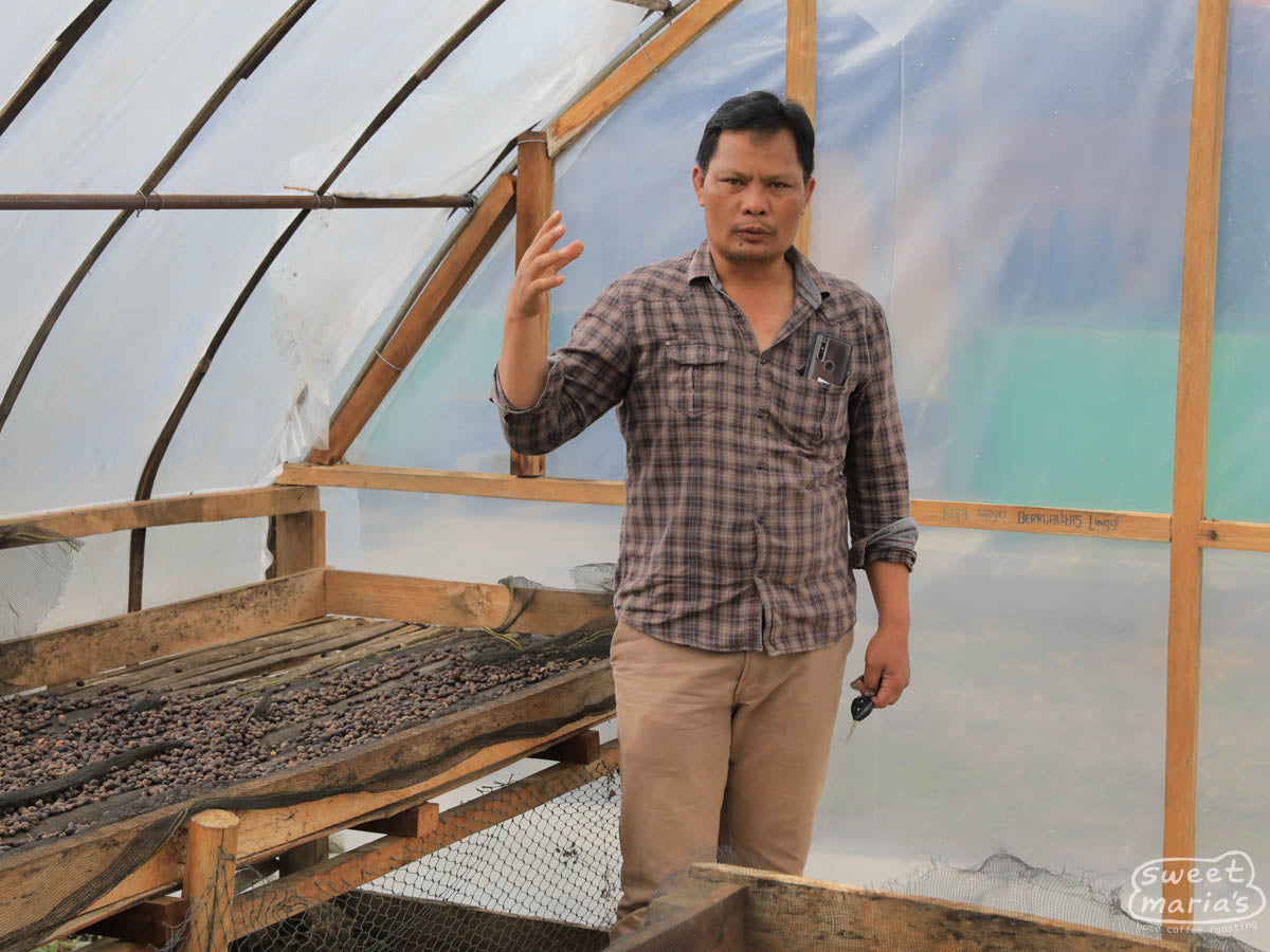  drying rooms for green coffee (often called "solar dryers") at Ribang Gayo coop site in Aceh Tengah