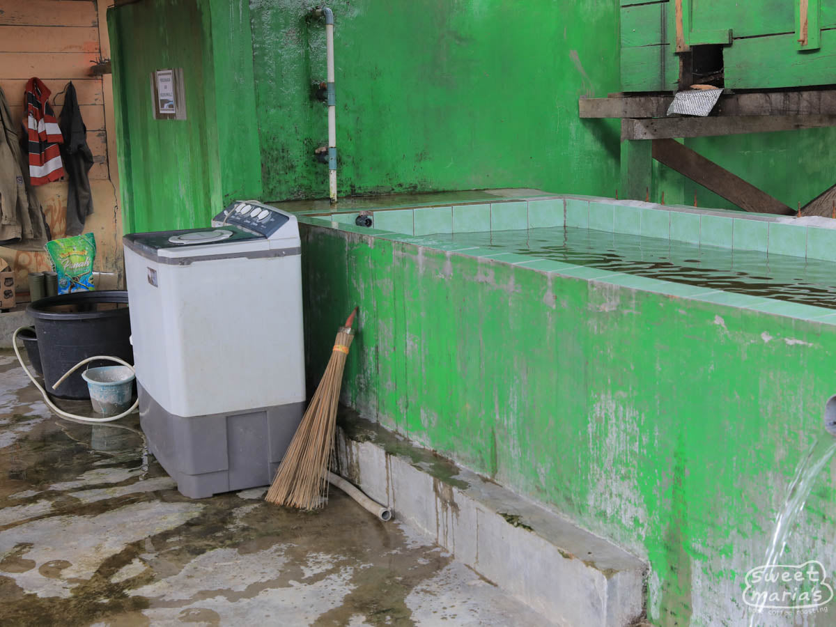  drying rooms for green coffee (often called "solar dryers") at Asman Arianto's Ribang Gayo site in Aceh Tengah