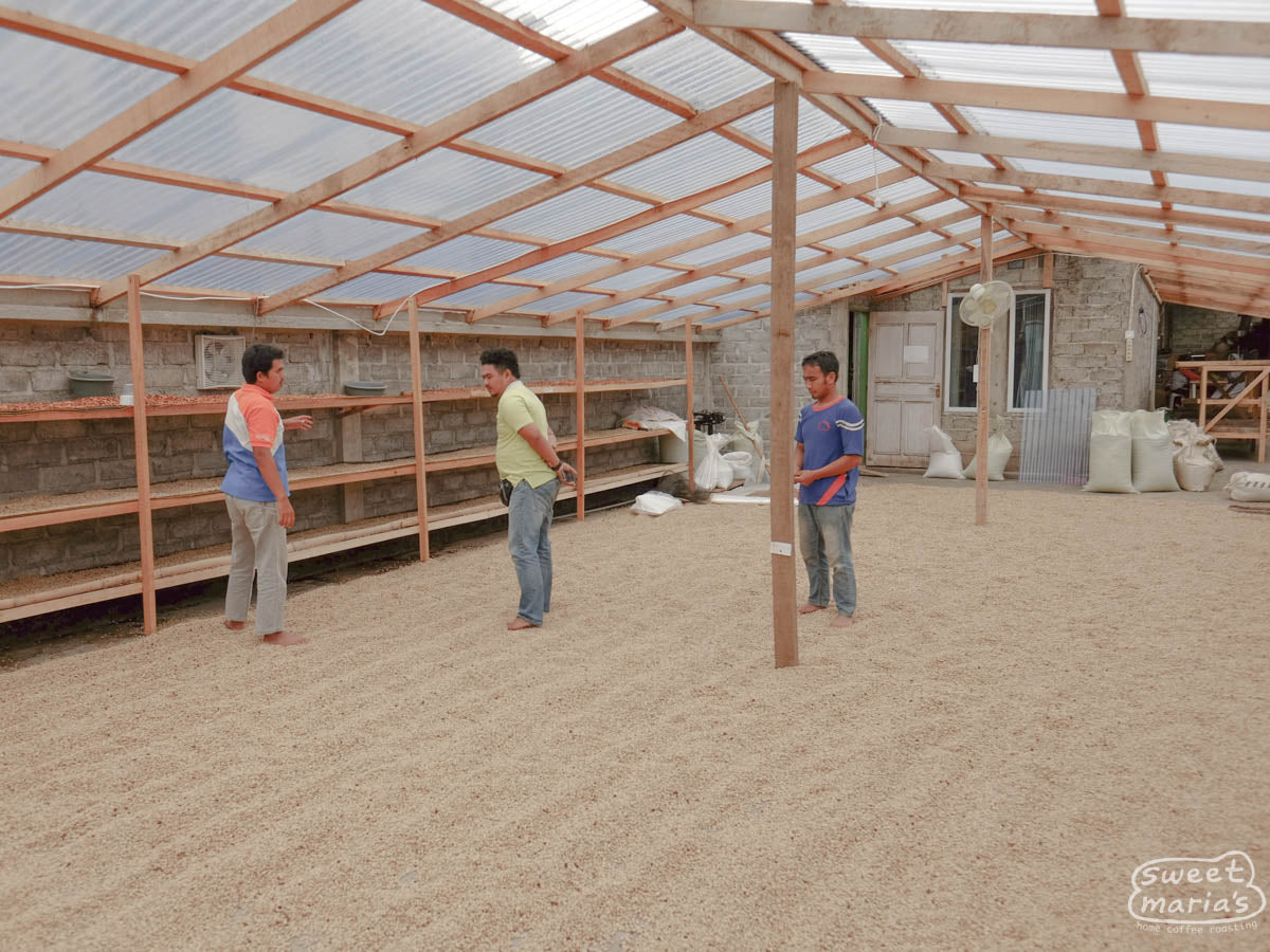 One of the indoor coffee drying rooms at the coffee cooperative where patio space and raised drying beds are employed to dry the coffee of coop members. Kerinci, Sumatra.