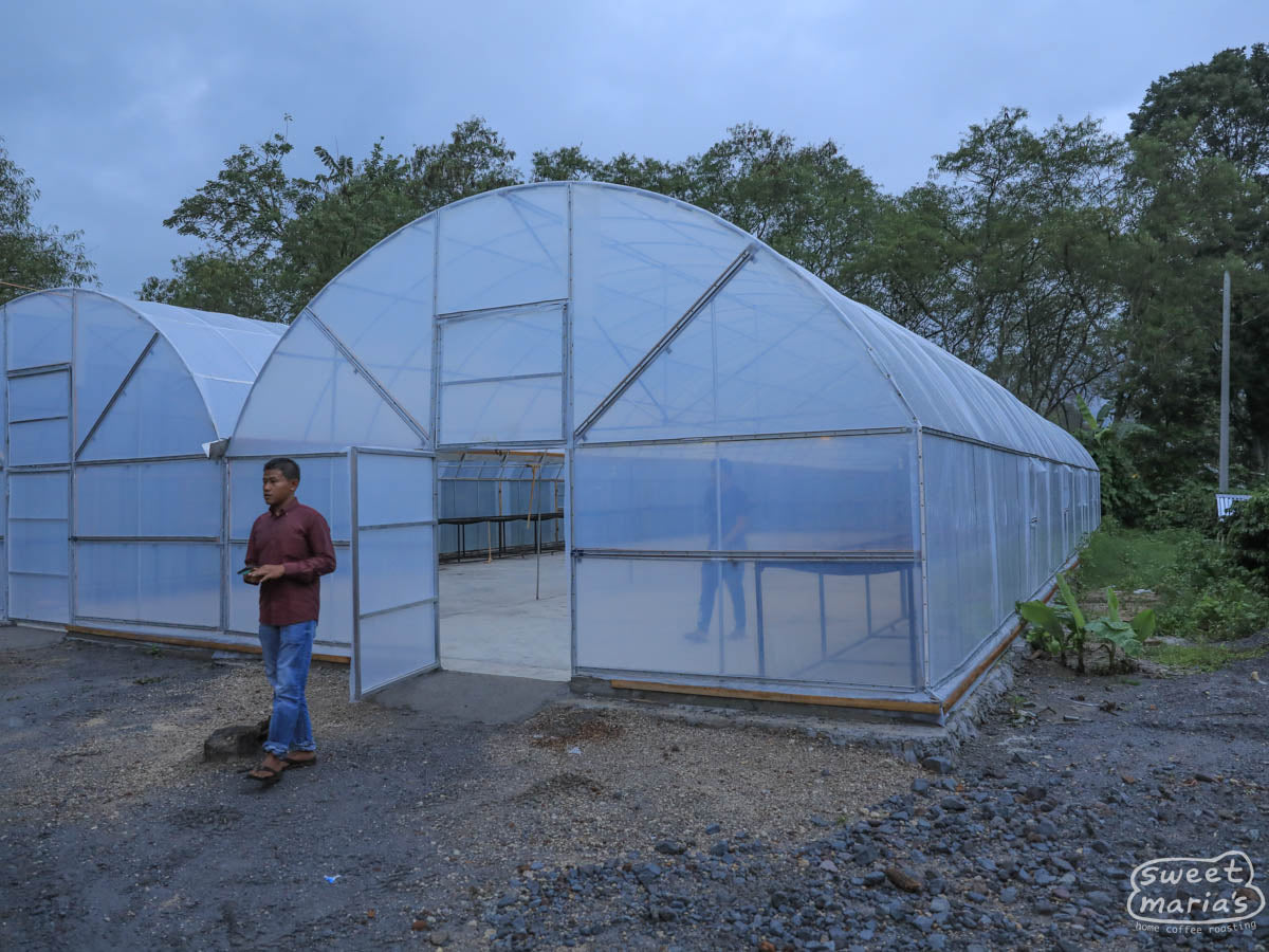 Aulia Kahfi stands outside a solar dryer for drying coffee at a neighbor's home in Bebesen, Aceh.