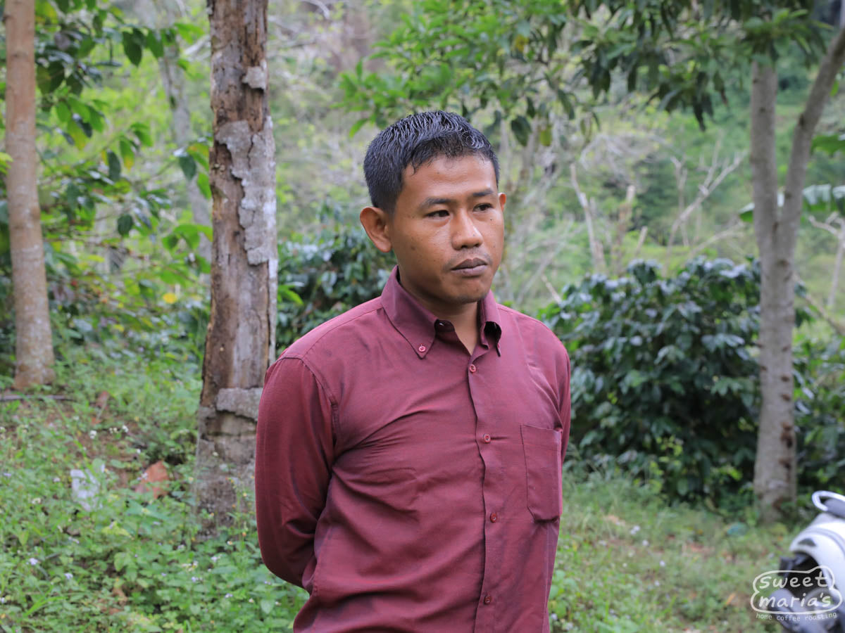 Pak Aulia shows takes us on a tour of his farm early in the harvest season. Aceh, Sumatra.